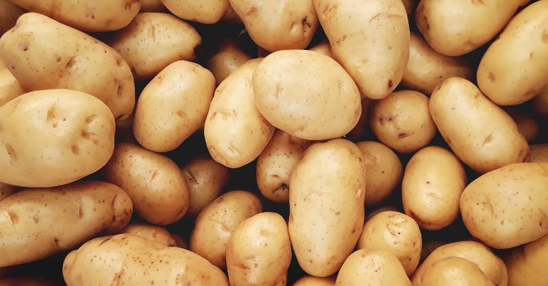 Les Pommes de terre