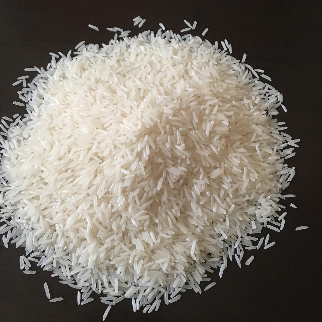 Le riz