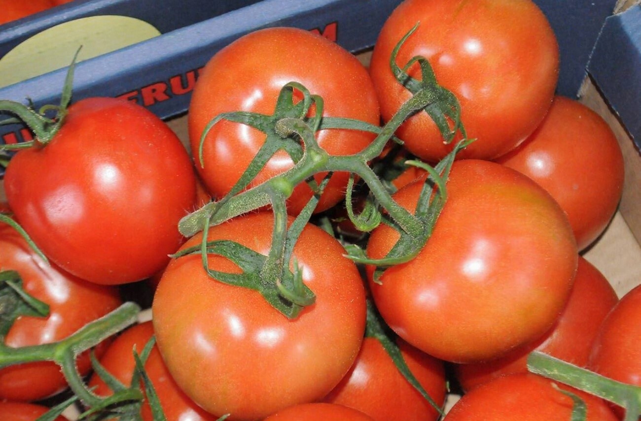Les tomates